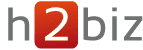 H2BIZ – Profilo Liana Rotariu